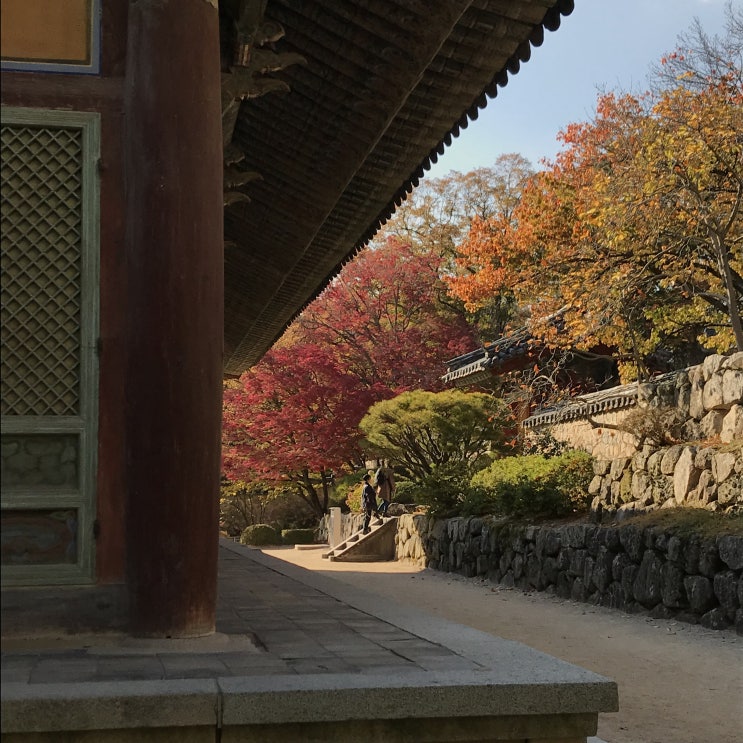  2018 / 10