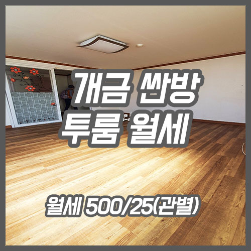  개금동 투룸 싼 월세 추천 500-30만원 심지어 개금역 초역세권~!