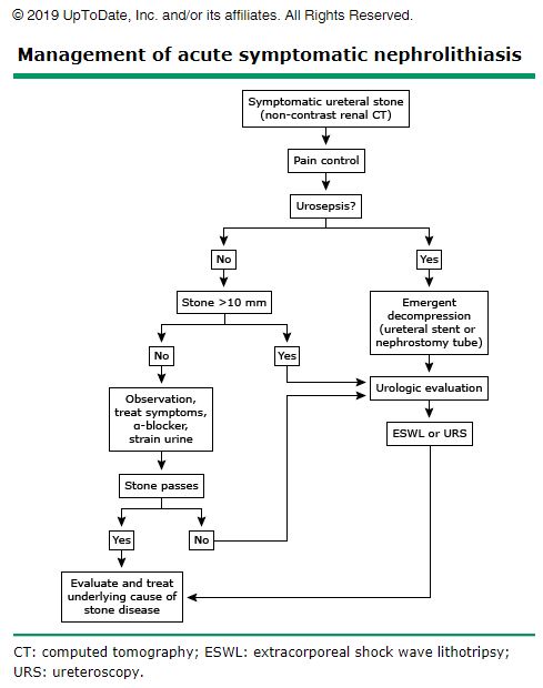  Ureter stone의 pain control 과 spontaneous passage