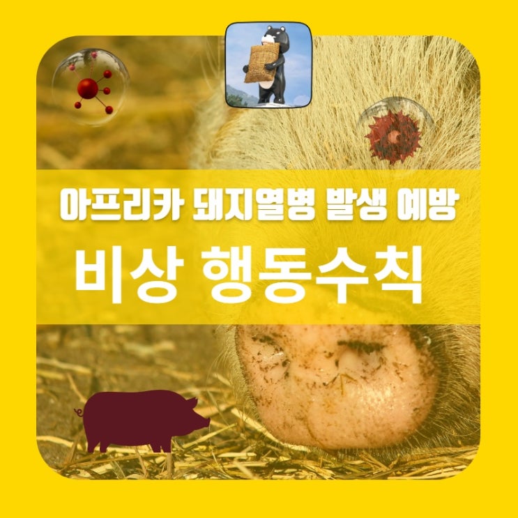  아프리카 돼지열병 발생 예방 비상 행동수칙