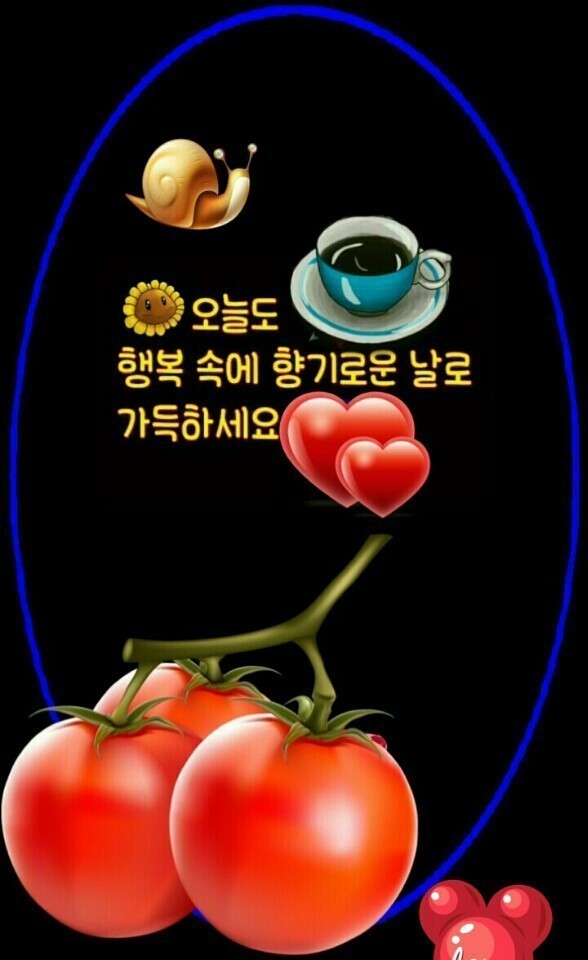  미분양·깡통전세 증가에 주택 보증사고 급증…2014년 이후 최대