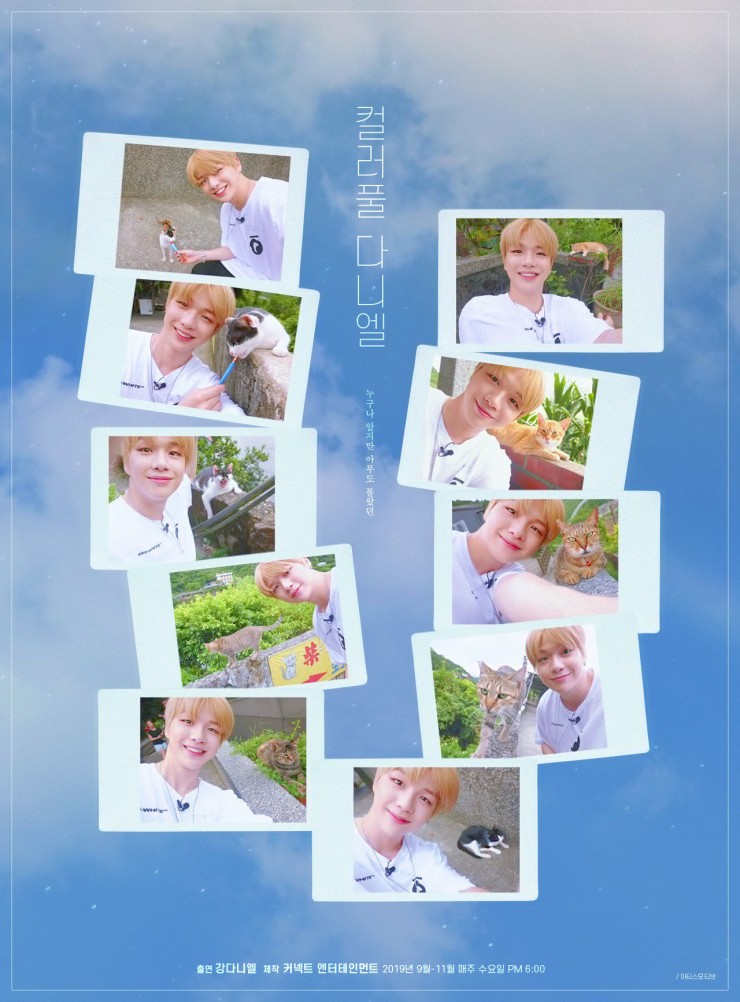  컬러플 다니엘 강다니엘&냥이 10장의 셀카 
