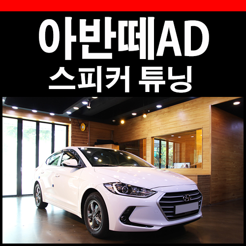  아반떼AD 파스 스피커 변경 / 추천작업기