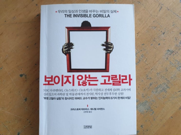  [독서노트]보이지 않는 고릴라(32/50)
