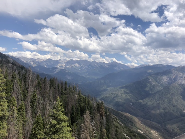  세쿼이아 (세콰이아)국립공원 Sequoia National Park