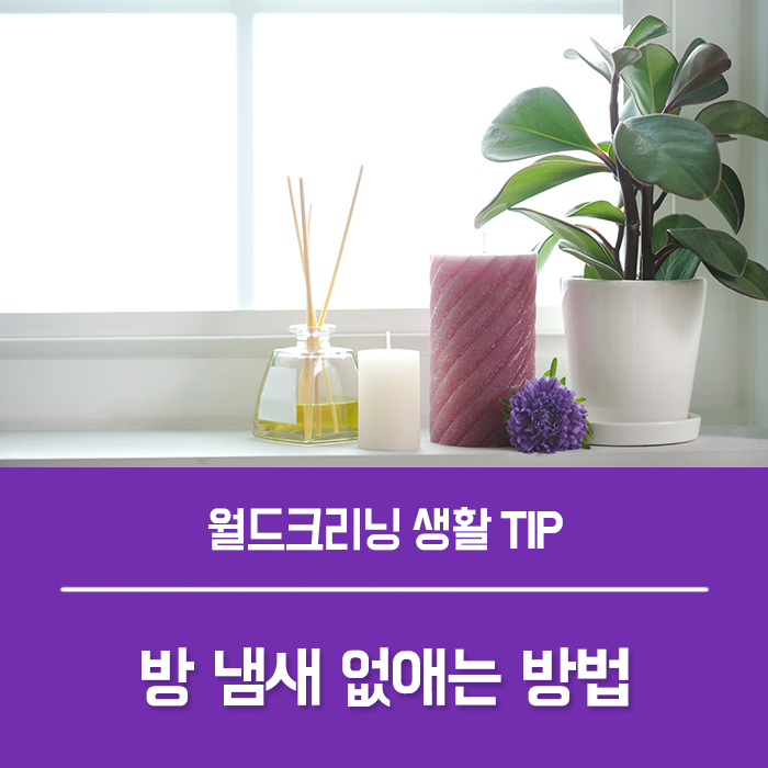  방에서 아저씨 냄새가 난다면? 냄새나는 방 탈취 방법