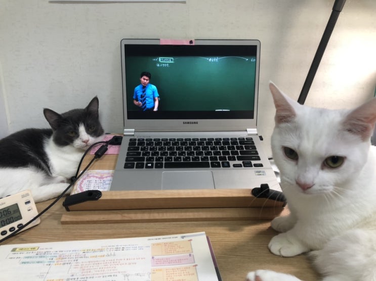  오롱일기 10.11~10.13