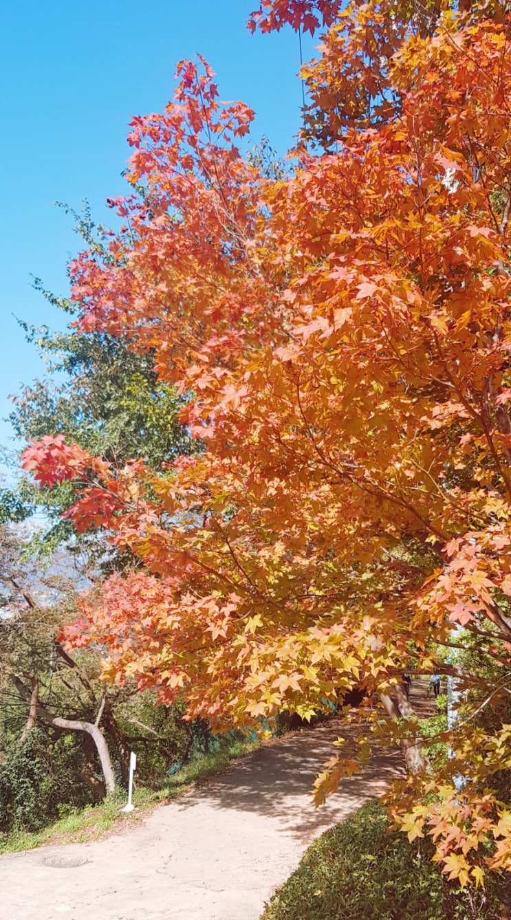  [베스트 셀프]행동의 변화가 필요한가요?
