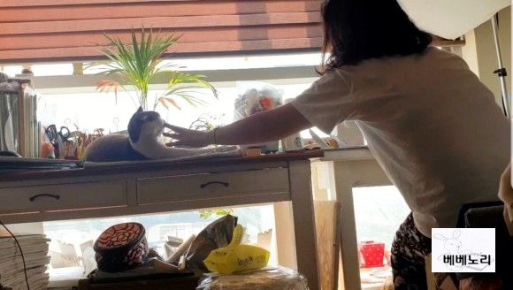 나이스한 그녀 베베노리의 일상 !!  --  쪼꼬미, 심슨이와의 소소한 일상... 그 일상을 공유합니다. ^^ 