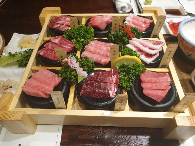  남부터미널! 교대! 생참치회 맛집! - 마구로센 남부터미널점! 참다랑어 전문점! 참치 정육관! 직장인 회식에 굿!