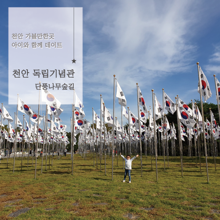  천안 독립기념관 단풍나무숲길 아이와 함께 데이트 가볼만한곳