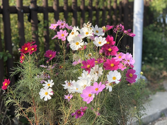  주말 일상