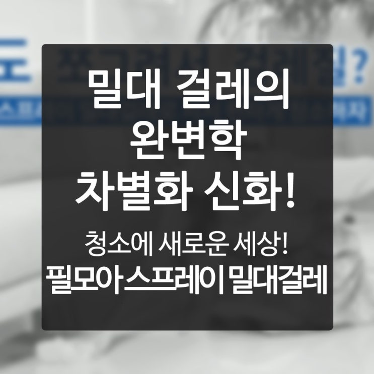  물걸래 우리 방안 먼지구덩이 절멸 프로젝트