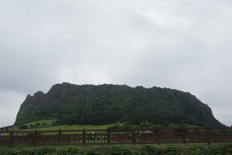  제주도 성산일출봉 주말에 가보기 딱 좋은곳 !
