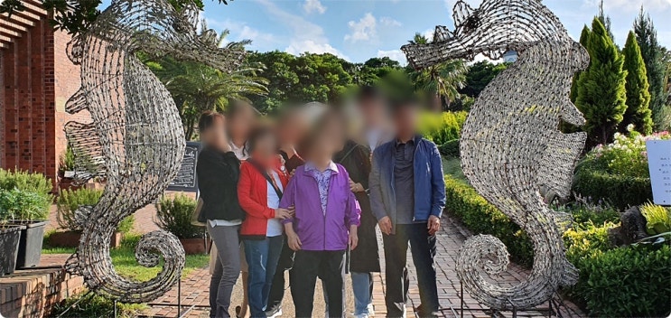  제주도관광버스 대절 단체여행 편안하게 다녀왔어요.