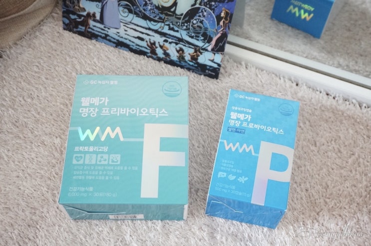  온가족 유산균 GC녹십자웰빙 웰메가 명장 프로바이오틱스 프리바이오틱스 set