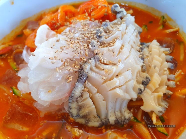  제주 해왓 제주도 성산 물회 맛집으로 인정합니다!