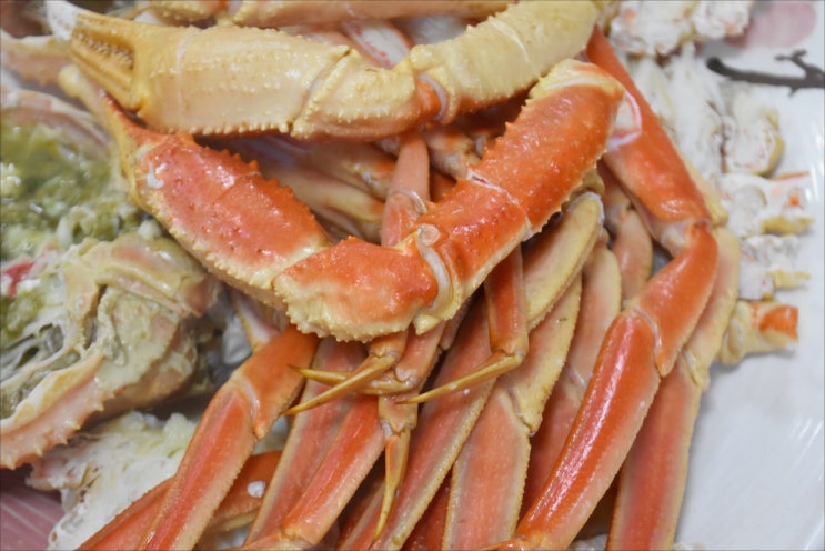  포항 죽도시장 맛집 살살 녹는 대게