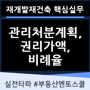 재건축재개발 관리처분계획과 권리가액, 비례율 (재건축재개발 핵심 중개실무)