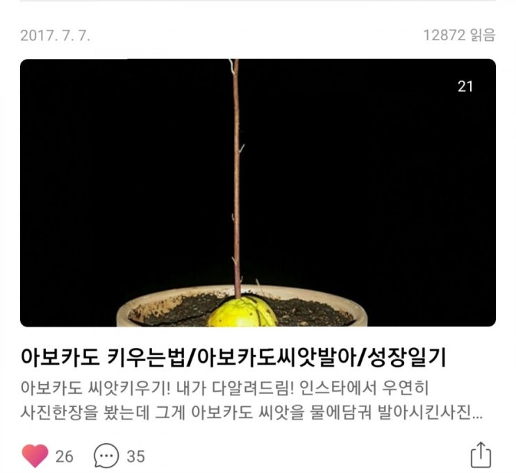  나는 운이 억세게 좋은 사람ㅋㅋㅋㅋ(feat. 아보카도)