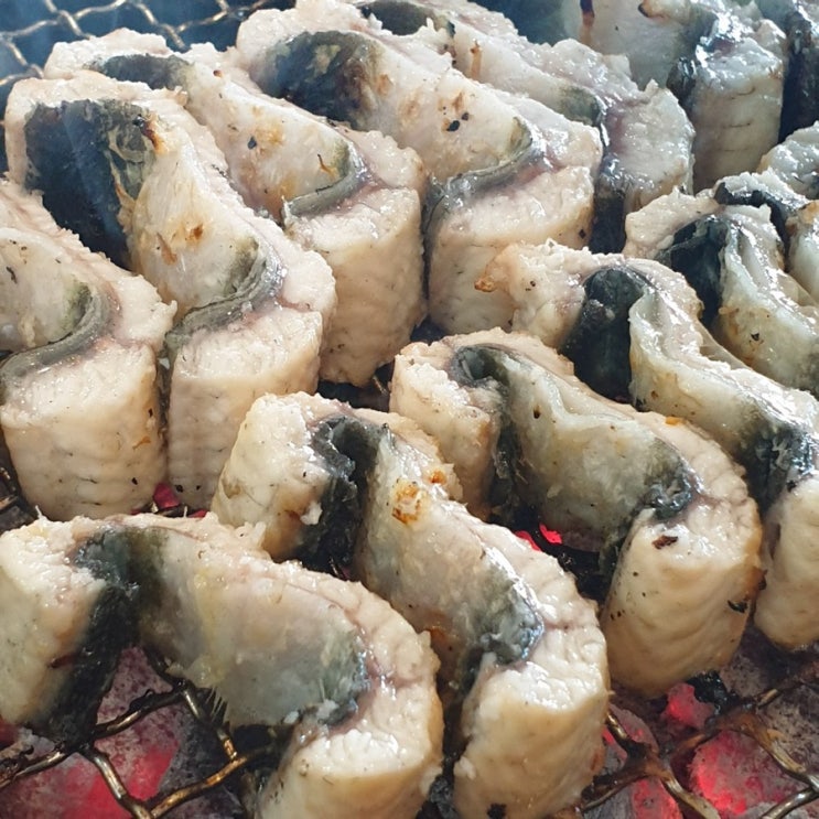  약수역 장어 맛집 / 저렴하게 몸보신 할 수 있는 민물장어 장어세상