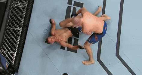 UFC 탬파 : 옌드레이첵 vs 워터슨 피니시 영상 및 하이라이트(GIF)