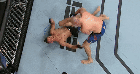 UFC 탬파 : 옌드레이첵 vs 워터슨 피니시 영상 및 하이라이트(GIF) UFC 탬파 : 옌드레이첵 vs 워터슨 피니시 영상 및 하이라이트(GIF)