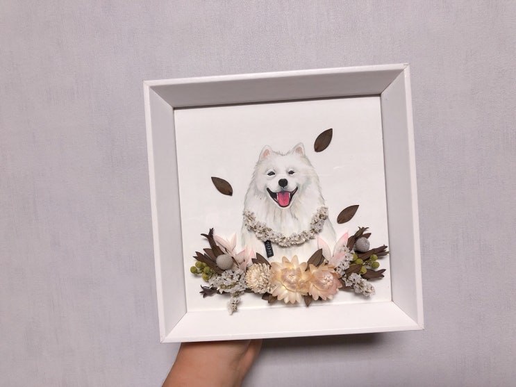  루이 3번째 생일 선물, 예다움 드라이플라워 반려견 일러스트 액자로 낙찰!!