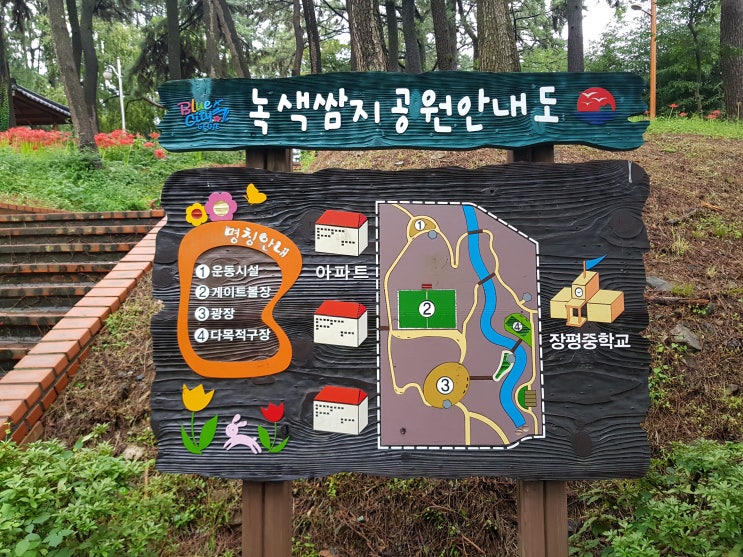  거제도 녹색쌈지공원에서 이룰 수 없는 사랑 '꽃무릇'을 만나보세요