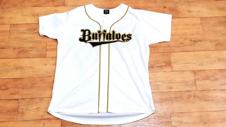 NPB 오릭스 버팔로즈 이승엽 유니폼과 이승엽 일본성적은? NPB 오릭스 버팔로즈 이승엽 유니폼과 이승엽 일본성적은?
