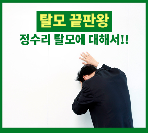  탈모 끝판왕 정수리탈모?? 정수리탈모에 대해서!!
