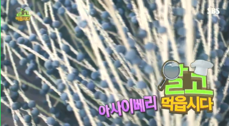  SBS 해피투데이, 분말 vs 열매 아사이베리의 효능은?(부작용, 섭취 방법)