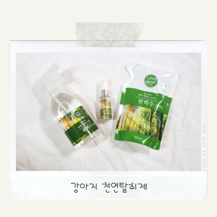  강아지 천연탈취제는 러브맘 편백수!!