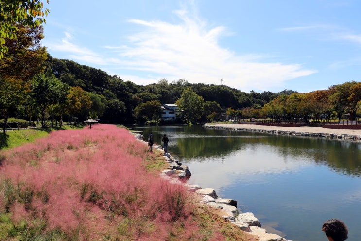  전주 가볼 만한 곳 임실 사선대 ~  멋진 풍경에 핑크 뮬리까지!