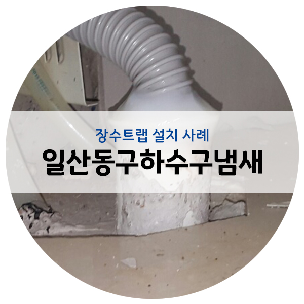  일산동구 장항동 화장실 / 싱크대 하수구 냄새제거 작업