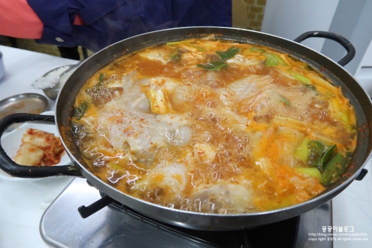  속초 맛있는녀석들 물곰탕 맛집 사돈집