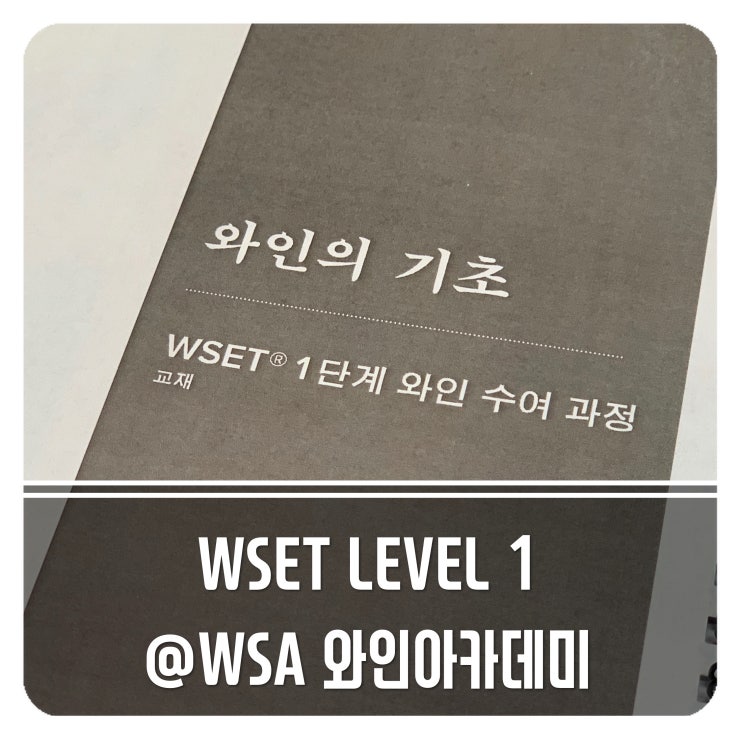 와인학원 WSA와인아카데미 WSET Level 1 와인클래스 시작!