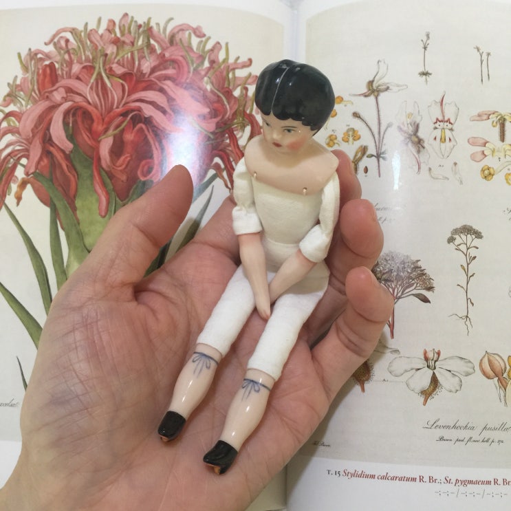  스몰 차이나 헤드 돌 주문