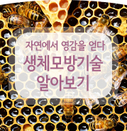  식물과 동물에서 아이디어를 얻어요~ 생체모방기술