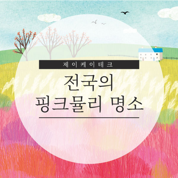  전국의 핑크 뮬리 명소