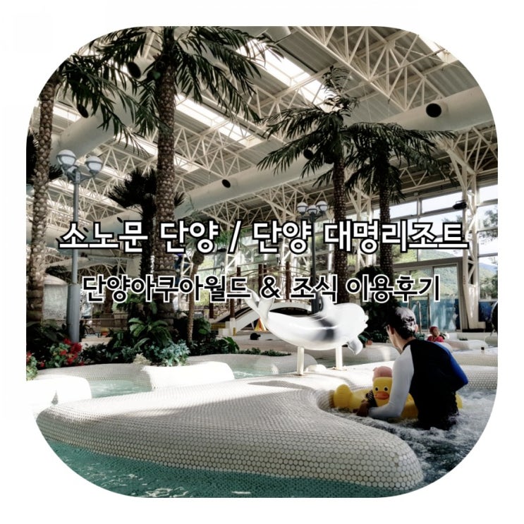 단양여행 / 대명리조트 단양 / 소노문 단양 이용후기 / 단양아쿠아월드 / 미채원 조식 패키지 / 가을 단양여행 / 1박 2일 단양여행 / 단양숙소 추천.