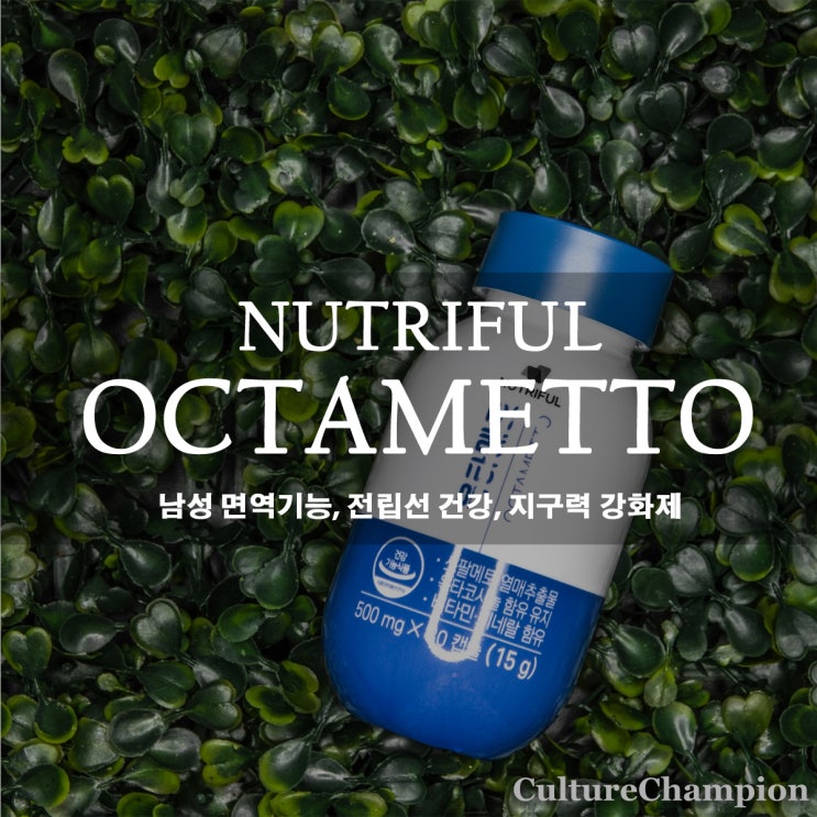  옥타코사놀 지구력 전립선 영양제 추천