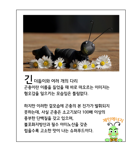  식용곤충 사업 우리는 이미 먹고있다!