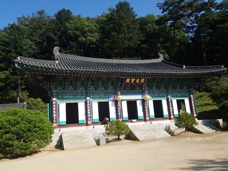  홍천 가볼만한곳 :: 수타사 산소길 출렁다리  