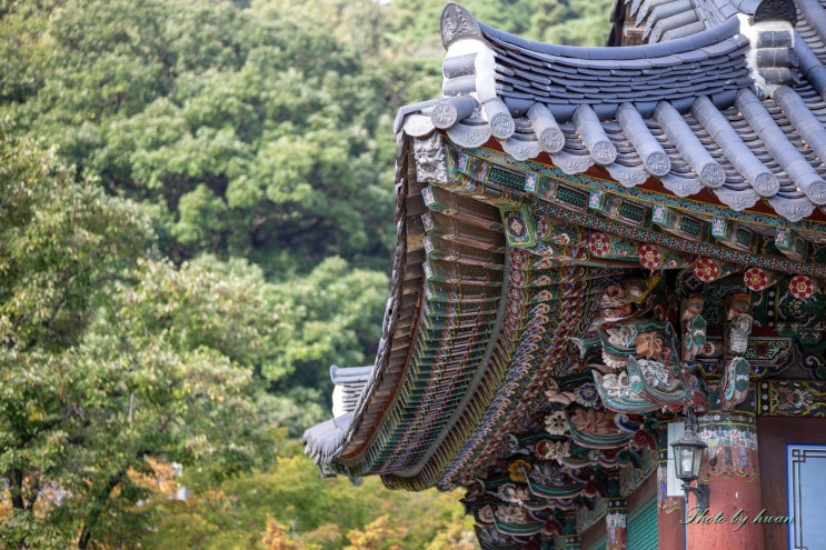  김천 직지사는 가을에 참 예쁘다 꼭 한번 가보자