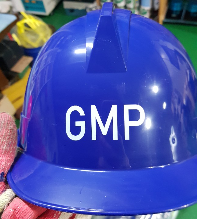  GMP SYSTEM ENG 지엠피시스템이엔지 안전모