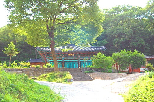 신흥사(新興寺)/경북 김천시 농소면 : 네이버 블로그