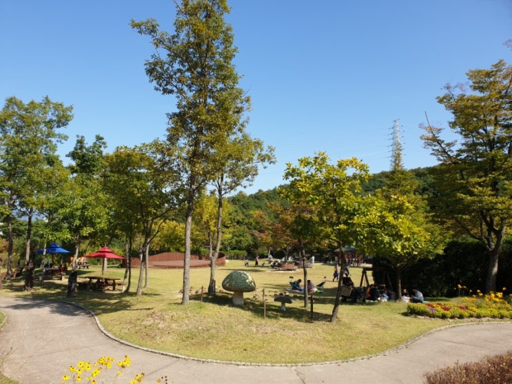  가을 나들이 하기 좋은 여주 황학산수목원, 입장료 주차료 모두 무료라 더 좋음.