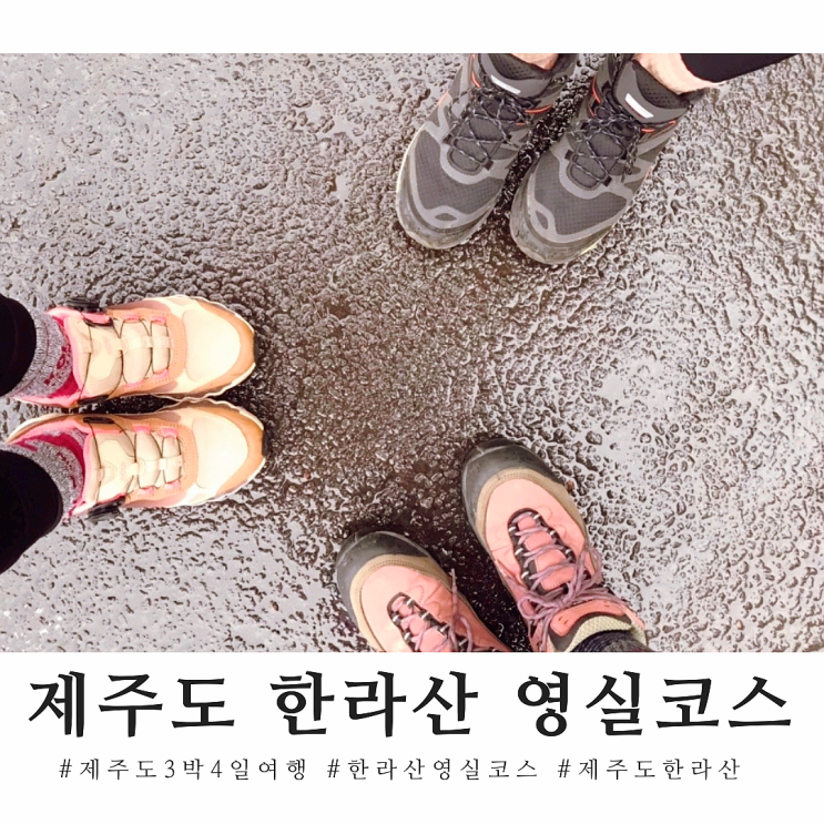  제주도 한라산 영실코스 수중산행 사브작사브작 안산완료!!