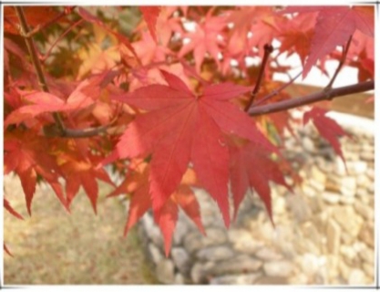 가을단풍 명소 와 10월의 축제